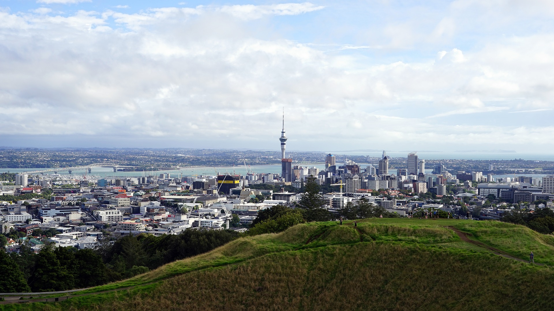 high view of auckland