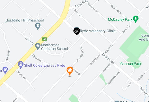 Currency exchange Ryde NSW Pick up currency exchange in Ryde - Where to collect foreign currency in person