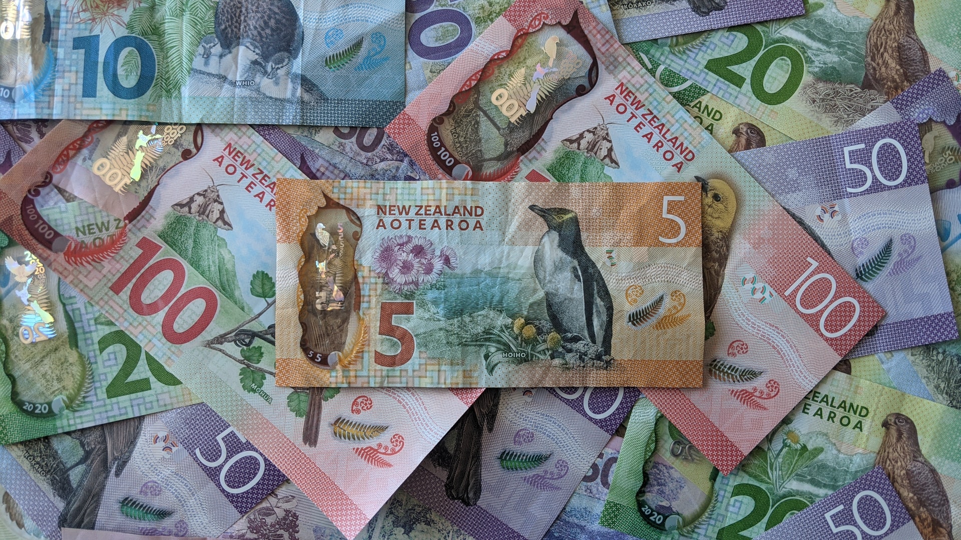 NZ dollar banknotes