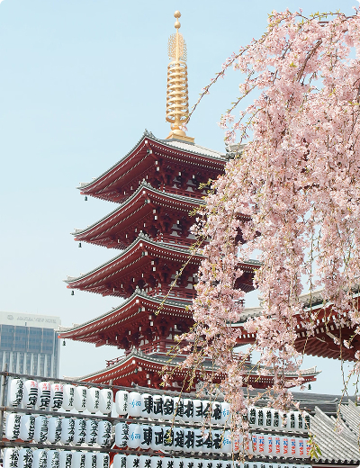 <span>Virtual cards</span> for online and in-store use A five-story pagoda with a golden spire stands behind cherry blossoms in bloom, with rows of Japanese lanterns in the foreground, capturing the timeless beauty of Japan.