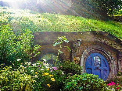 <span>Travel</span> card in <span>New Zealand</span> A round blue door set into a grassy New Zealand hillside with flowers and green plants in front, sunlight streaming from above