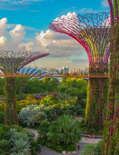 Colorful Supertree structures rise above lush greenery at Gardens by the Bay in Singapore, with a walkway connecting them and the city skyline visible in the background.