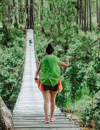 <span>No annual fee</span> for Standard plan A person wearing a green vest walks on a wooden suspension bridge surrounded by dense green trees and vegetation.