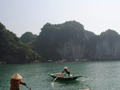 <span>Travel</span> card in <span>Vietnam</span> Two people wearing conical hats row wooden boats on calm green water in Vietnam, with rocky, forested cliffs rising in the background.