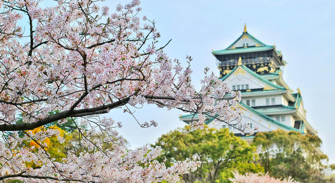 Scenic springtime view of Osaka Castle with traditional architecture framed by blooming cherry blossoms, highlighting the city's blend of cultural heritage and seasonal beauty