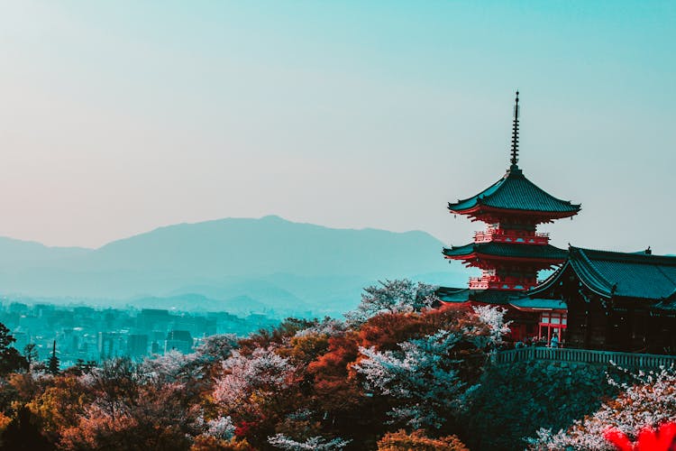 Transfer Money to Japan with OFX